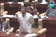 Government employees were found involved in target killing in Karachi: Sharjeel Memon