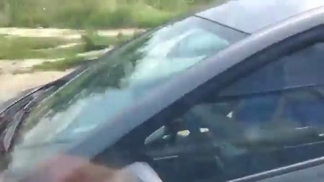 Deux conducteurs énervés jouent aux auto-tamponneuses