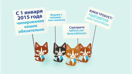 Tule kiibista oma kass soodushinnaga vahemikus 22.10 - 16.11! RUS