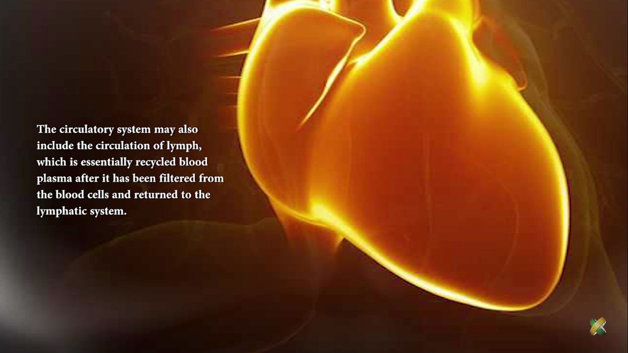 What is Cardiovascular Disease