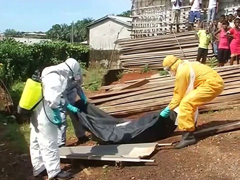 Аэропорт Брюсселя вводит проверку рейсов на Эболу