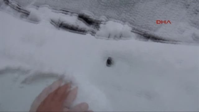 Van'daki Kar Yağışı Hayatı Olumsuz Etkiliyor