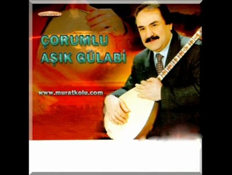 Aşık Gülabi - Yurdunmu Oldu Çorum İli