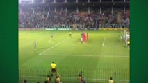 Torcedor registra gol do Botafogo das arquibancadas