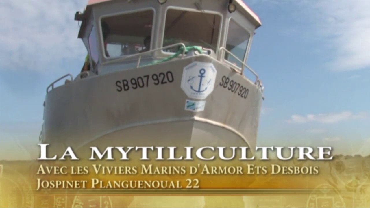 La Mytiliculture en baie de St Brieuc