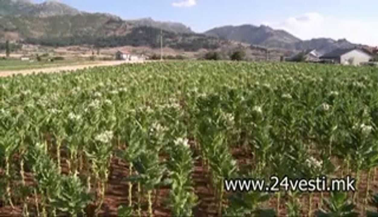 DALI DUPONT KE DONESE GMO