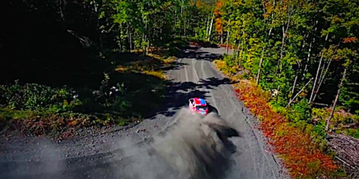 Team ONeil Ford Fiesta ST Rally Car