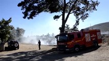 Bodrum'da Makilik Alanda Yangın