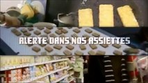 Alerte Dans Nos Assiettes (1/2)