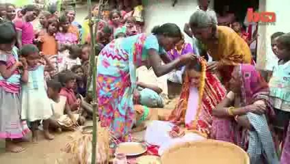 This Woman Marries A Dog For A Strange Reason My God