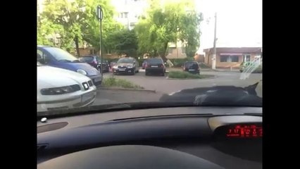 Un chat se reveille sur le capot d'une voiture en mouvement