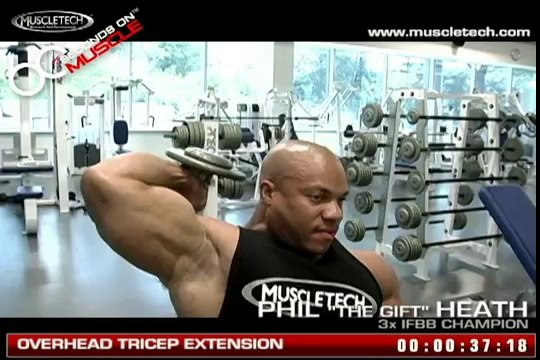 Tricep Workout with Phil Heath - Overhead Tricep Extension_ Tricep, Muscles, Bodybuilding {MotivationBuild}