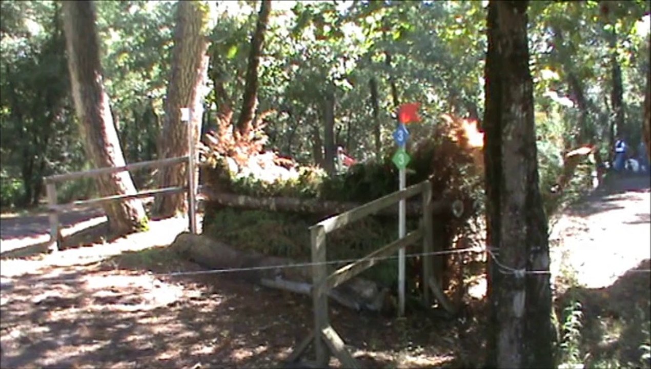 Ambre et roman amateur 2gp royan