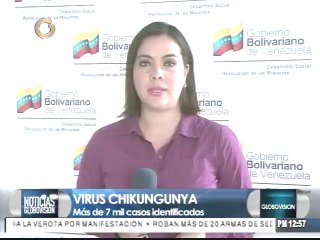 Hay más de 7 mil casos de chikungunya diagnosticados