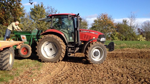Plantation des tulipes contre le cancer