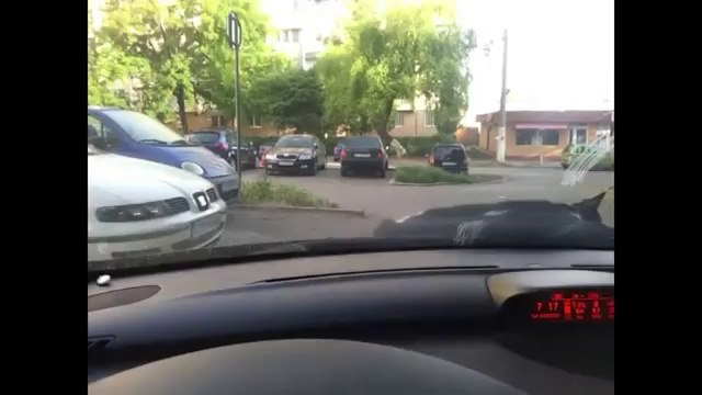 Un chat se réveille sur le capot d'une voiture en mouvement