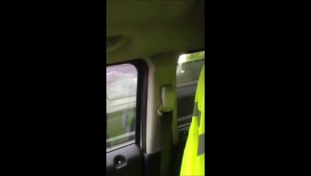 Un kéké va avoir la leçon de sa vie