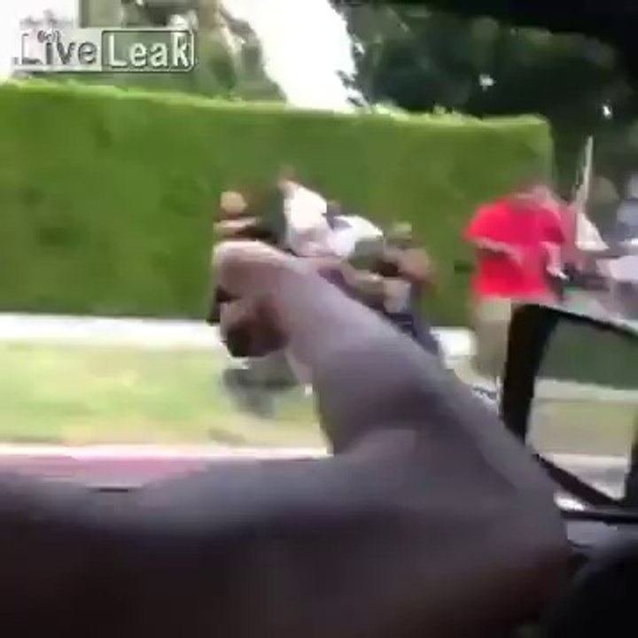 Ils ont eu peur...d'un peigne !