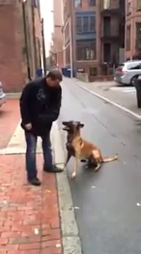 Le chien le mieux dressé du monde _