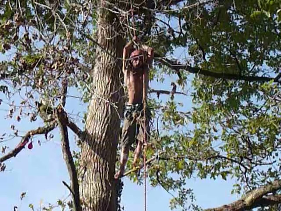 Sivens échange entre C Duflot, N Mamère et un zadiste