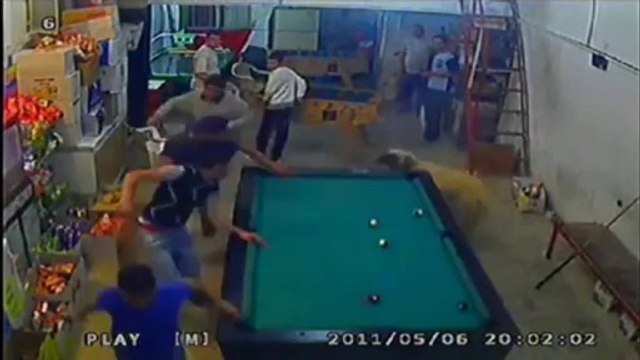 Un mouton attaque des joueurs de billard !