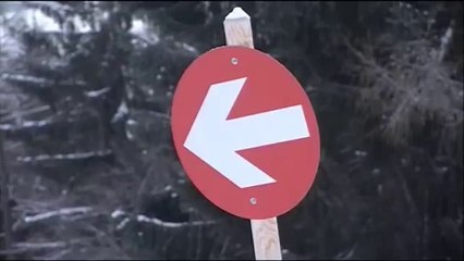 Une Lamborghini Gallardo sur une piste de ski