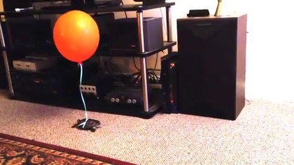 How To Keep Track Of Your Turtle