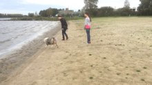 Bibi sur la plage