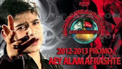 promo Ali Jee & Ali Shanawer 2014 mp4