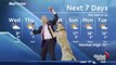 Playful Puppy Interrupts Weatherman's Forecast