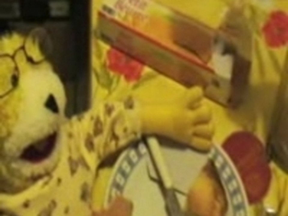 Mister oiseau alias maurice vulmont