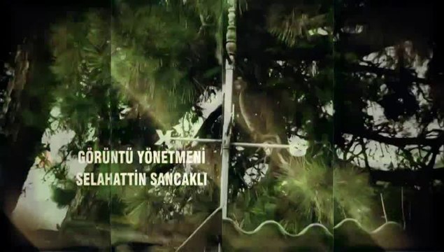 Kurtlar Vadisi Pusu Jenerik ve Müzik