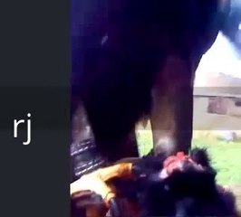 EAGLE EATS A RABBIT AMAZING VIDEO