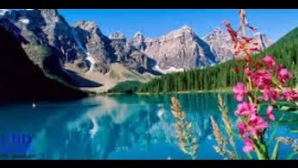 Vé máy bay du học giá rẻ nhất liên hệ Ms.Phương 0917 113 110