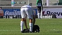 Dog Interrupts Soccer Game For A Belly Rub