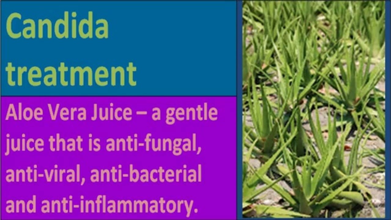 Please See how to cure candida infection - Watch video now!
