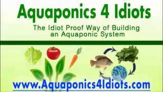 Aquaponics 4 Idiots - The Idiot Proof Way Of Building An Aquaponic System