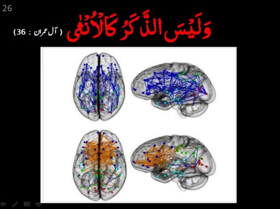Tadabbur-ul-Quran, Topic No. 16 _ 'Insani Dimag' [Human Brain] (Part 1_2) Dr Murtaza bin Bakhsh