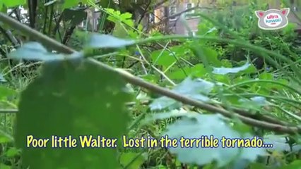 “Walter And The Tornado- - Ultra Fur - Video Dailymotion