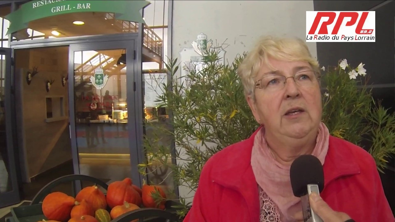 Montigny-les-Metz Conférence « la douleur et nous, la fibromyalgie et vous »