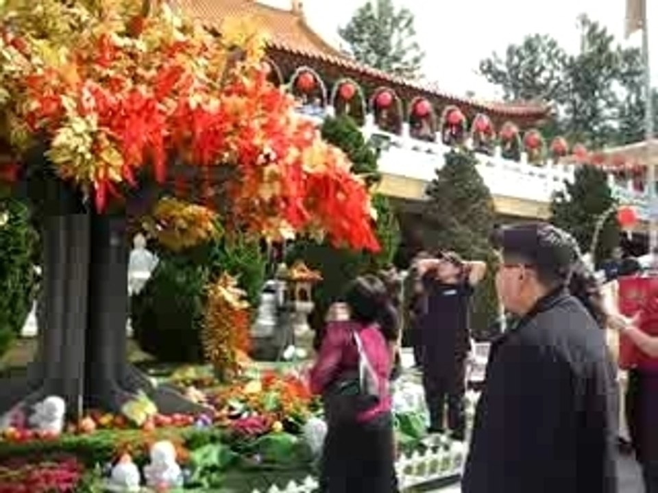 Wishing tree