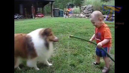 Funny baby & dog compilation - adorable! - Vidéo Dailymotion