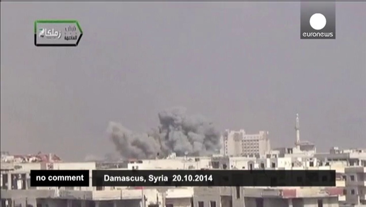 Damascus suburbs suffer shelling by 'government forces'