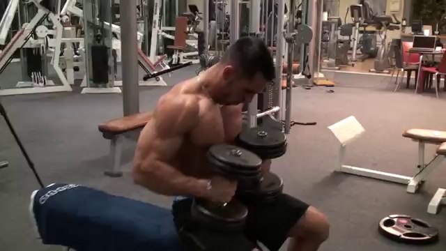 Fitness Model Workout Training Program Alon Gabbay