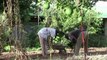 Traditional farming methods gaining ground in Mali
