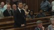 Pistorius sentenced to five years in prison