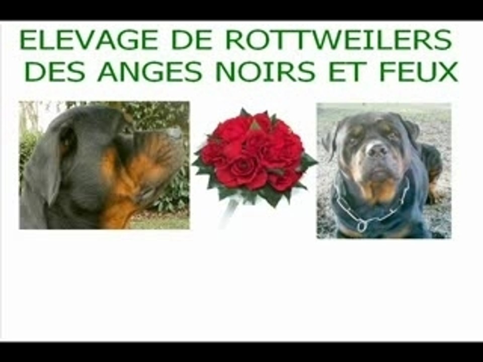 UGO ET AIRMYONE