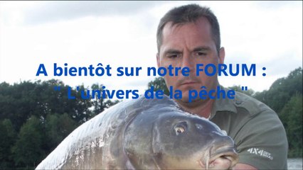 Une carpe miroir qui a livrée un beau combat (film HD 16/9)