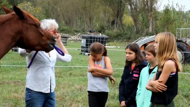 Stage d'éthologie avec Marie-Pierre Kohler