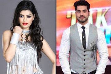 Are Sonali and Gautam getting romantic on Bigg Boss 8?